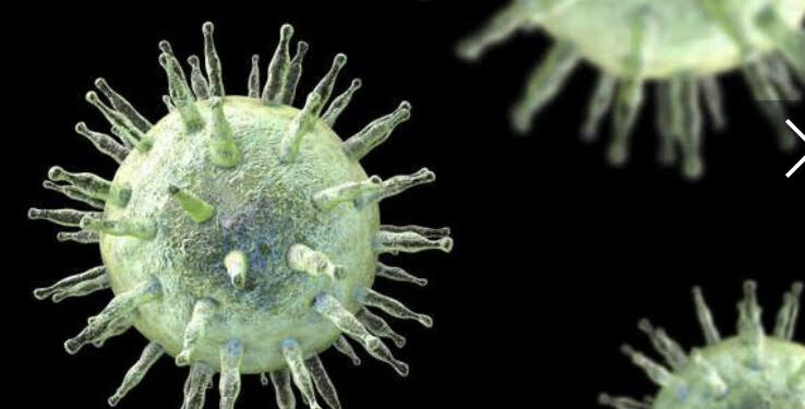 Un virus serait à l’origine de la sclérose en plaques 1 - Le Progrès Egyptien
