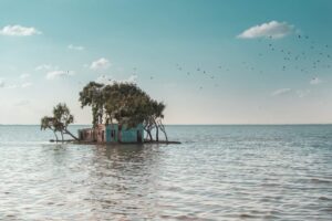 Chakhlouba, votre île de rêve 4 - Le Progrès Egyptien Chakhlouba, votre île de rêve 3 - Le Progrès Egyptien