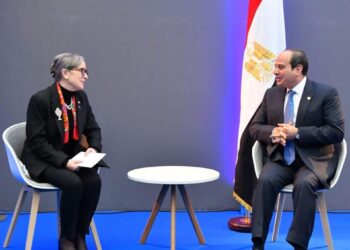 L’Egypte est confiante en la capacité de l’autorité tunisienne à surmonter la phase actuelle