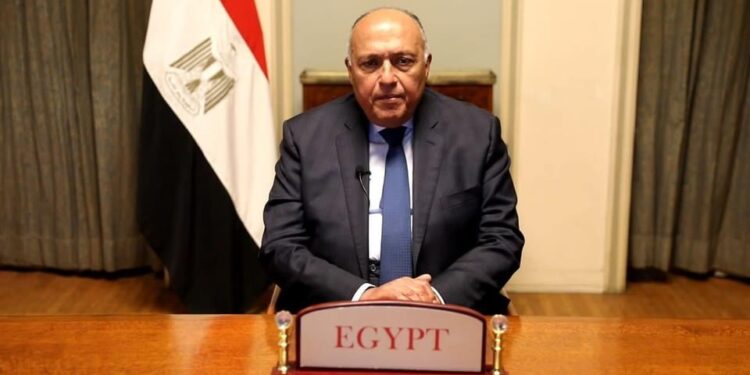 Choucri prononce une allocution lors de la Conférence du désarmement 2 - Le Progrès Egyptien Choucri prononce une allocution lors de la Conférence du désarmement 1 - Le Progrès Egyptien