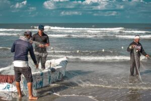 Chakhlouba, votre île de rêve 10 - Le Progrès Egyptien Chakhlouba, votre île de rêve 9 - Le Progrès Egyptien