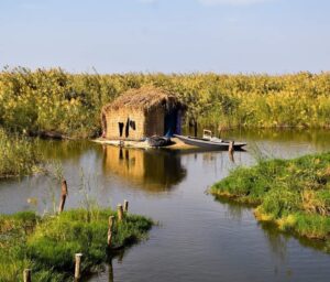 Chakhlouba, votre île de rêve 5 - Le Progrès Egyptien