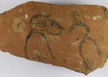 Découverte de 18.000 blocs-notes à Athribis