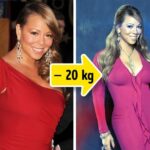 Quel régime choisir ? 17 - Le Progrès Egyptien