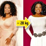 Quel régime choisir ? 11 - Le Progrès Egyptien