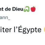 “Je veux visiter l’Egypte ! ”, le rêve des internautes 25 - Le Progrès Egyptien