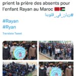 “La bouteille de Gabaski” et “Rayan” enflamment la toile 41 - Le Progrès Egyptien