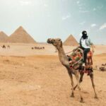 “Je veux visiter l’Egypte ! ”, le rêve des internautes 47 - Le Progrès Egyptien