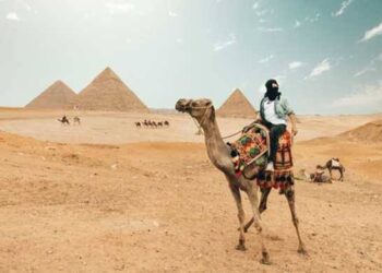 “Je veux visiter l’Egypte ! ”, le rêve des internautes