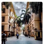 Balade “numérique” au Caire 26 - Le Progrès Egyptien Balade “numérique” au Caire 25 - Le Progrès Egyptien