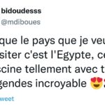 “Je veux visiter l’Egypte ! ”, le rêve des internautes 37 - Le Progrès Egyptien
