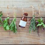 Des plantes médicinales à faire pousser chez soi 11 - Le Progrès Egyptien