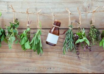 Des plantes médicinales à faire pousser chez soi