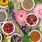 Des plantes médicinales à faire pousser chez soi 3 - Le Progrès Egyptien