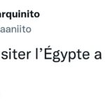 “Je veux visiter l’Egypte ! ”, le rêve des internautes 11 - Le Progrès Egyptien