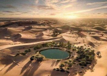 Siwa : Vers une gestion durable des ressources naturelles