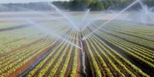 Projet national de silos : La capacité de stockage du blé doublée 5 - Le Progrès Egyptien