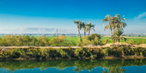 Mettre la mer en "bouteilles", est-ce possible ? 10 - Le Progrès Egyptien Mettre la mer en "bouteilles", est-ce possible ? 9 - Le Progrès Egyptien