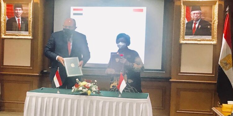 L'Egypte et l'Indonésie signent un MoU dans le domaine de l'environnement 1 - Le Progrès Egyptien