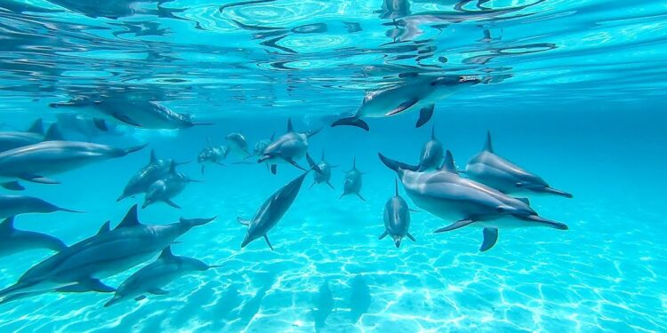 Paysage magnifique 1 - Le Progrès Egyptien