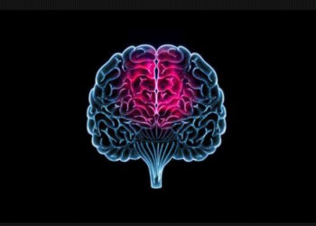 Comment la listeria infecte-t-elle le cerveau ?