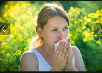 L’interminable saison des allergies