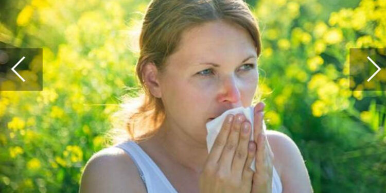 L’interminable saison des allergies 1 - Le Progrès Egyptien