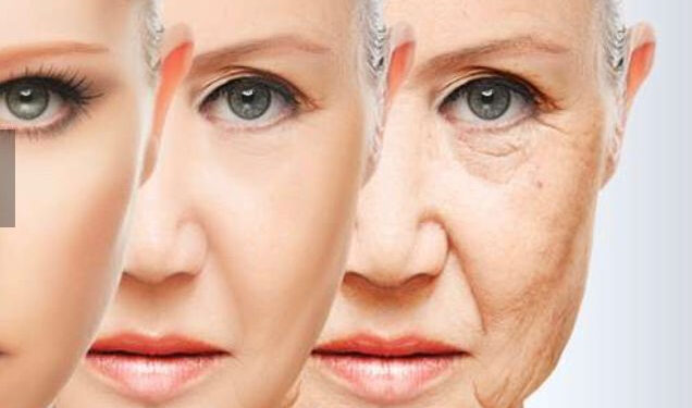 Bientôt l’immortalité pour tous grâce au rajeunissement cellulaire ? 2 - Le Progrès Egyptien Bientôt l’immortalité pour tous grâce au rajeunissement cellulaire ? 1 - Le Progrès Egyptien