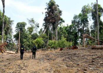 Amazonie : Le point de bascule approche