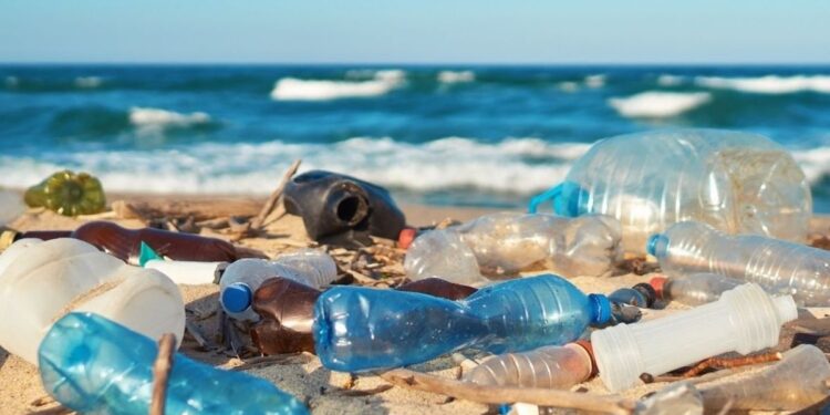 Vers un traité mondial contre la pollution plastique 2 - Le Progrès Egyptien Vers un traité mondial contre la pollution plastique 1 - Le Progrès Egyptien