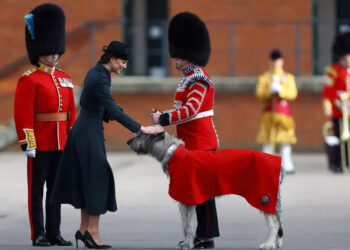 Kate rayonnante dans un nouveau manteau pour célébrer la Saint-Patrick