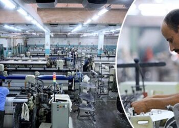 Stratégie de promotion  de l’industrie nationale