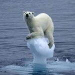 Réchauffement : Des souffrances sans précédent pour l’humanité 5 - Le Progrès Egyptien