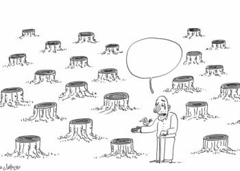 Un arbre … une vie