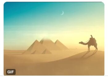 “L’Egypte nous manque!”