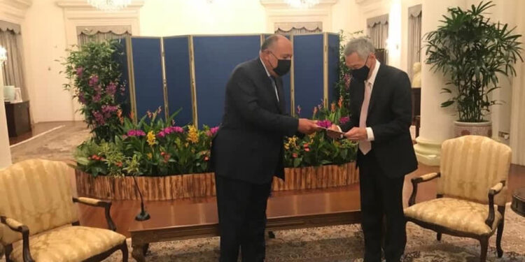 Ouvrir de nouveaux horizons avec Singapour 2 - Le Progrès Egyptien Ouvrir de nouveaux horizons avec Singapour 1 - Le Progrès Egyptien