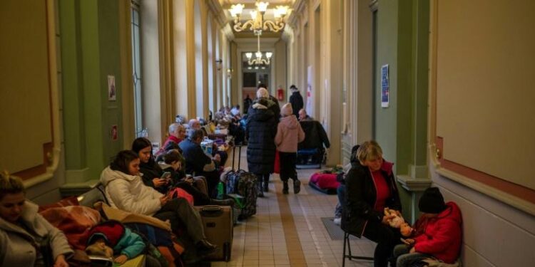 ONU : Dix millions de personnes ont fui leurs foyers en Ukraine 2 - Le Progrès Egyptien ONU : Dix millions de personnes ont fui leurs foyers en Ukraine 1 - Le Progrès Egyptien