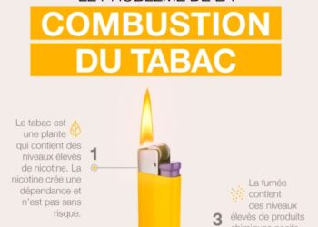 Technologie “Chauffer sans brûler”… les solutionssans fumée réduisent-elles les méfaits ?