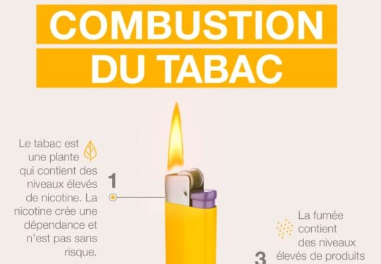 Technologie “Chauffer sans brûler”... les solutionssans fumée réduisent-elles les méfaits ? 1 - Le Progrès Egyptien