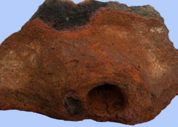 Découverte de puits d’eau au Nord-Sinaï