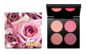 Voici son cadeau idéal 15 - Le Progrès Egyptien