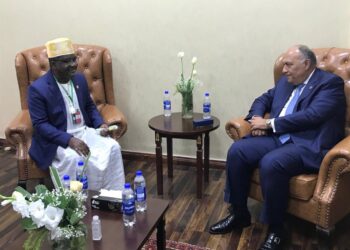 Entretien Choucri et son homologue comorien sur la coopération bilatérale