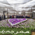 Deux ministres égyptien et sud-soudanais inaugurent “Les fleurs du printemps” 6 - Le Progrès Egyptien Deux ministres égyptien et sud-soudanais inaugurent “Les fleurs du printemps” 5 - Le Progrès Egyptien