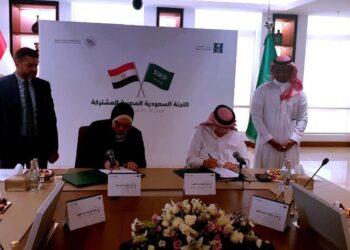 Égypte-Arabie : Renforcer les liens bilatéraux