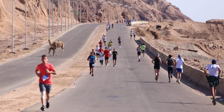 Dahab : Succès du marathon sportif 2 - Le Progrès Egyptien Dahab : Succès du marathon sportif 1 - Le Progrès Egyptien