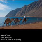 Taba… l’épopée tient le haut du pavé ! 29 - Le Progrès Egyptien