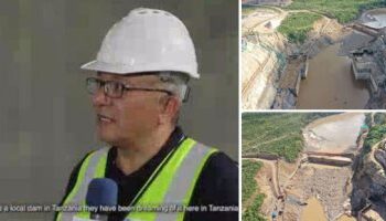 “La diplomatie de l’économie”, et les entreprises égyptiennes en Afrique