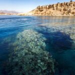 Importance touristique de la réserve de Ras Mohamed 4 - Le Progrès Egyptien Importance touristique de la réserve de Ras Mohamed 3 - Le Progrès Egyptien