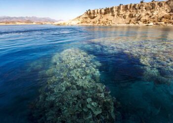 Importance touristique de la réserve de Ras Mohamed