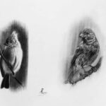 Kiroles Boshra fraie sa voie … 6 - Le Progrès Egyptien Kiroles Boshra fraie sa voie … 5 - Le Progrès Egyptien